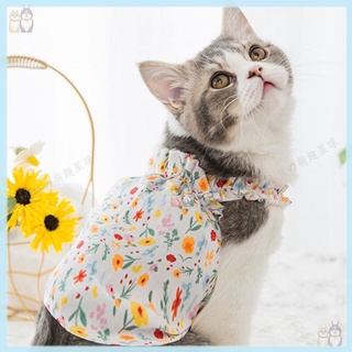 貓衣服 外出用品 優惠推薦 21年7月 蝦皮購物台灣