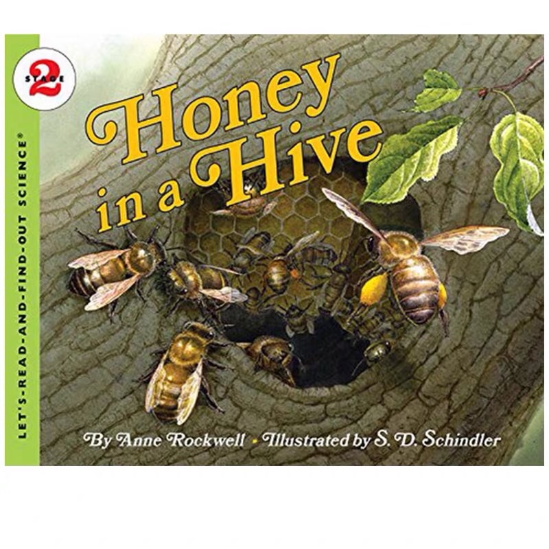 科一科二let’s read and find out science 系列 Honey in a Hive