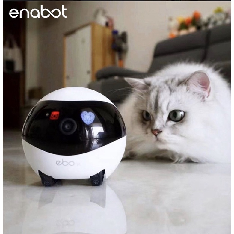 Rubi寵物百貨 😎《 免運 暢銷3C 原廠 公司貨 可遙控 》Ebo SE / Air 智慧居家 攝影機