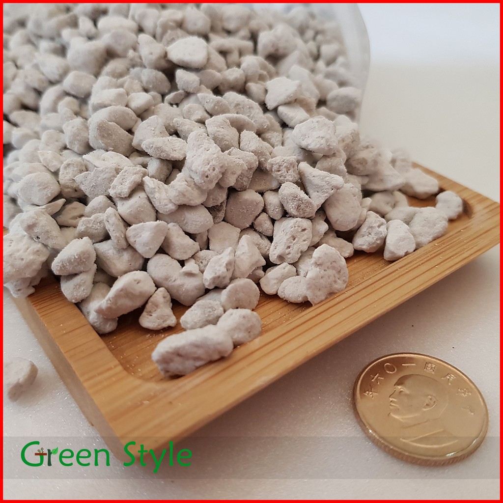 【Green Style綠樣】白火山石 ( 土耳其 浮石 )  | 多肉土 多肉介質 多肉 植物 仙人掌 園藝 土壤