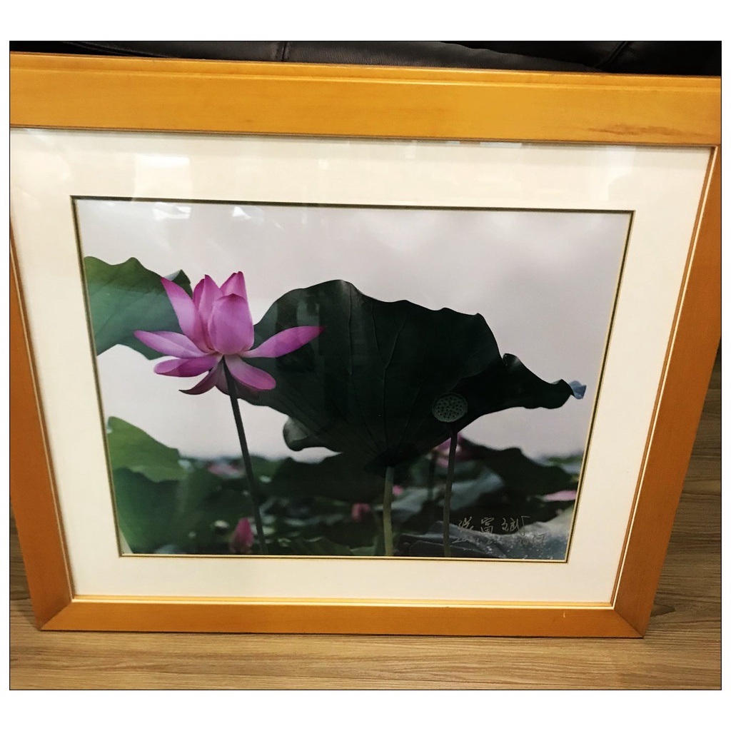 二手品夏日白河粉紅色荷花射影作品原木框一對夏日白河荷花射影作品二幅掛畫壁畫攝影家張富斌作品