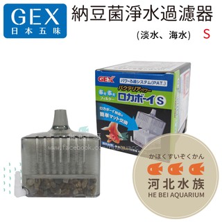 [ 河北水族 ] 日本 GEX 五味 【納豆菌淨水過濾器 S】水妖精 增氧 硝化菌