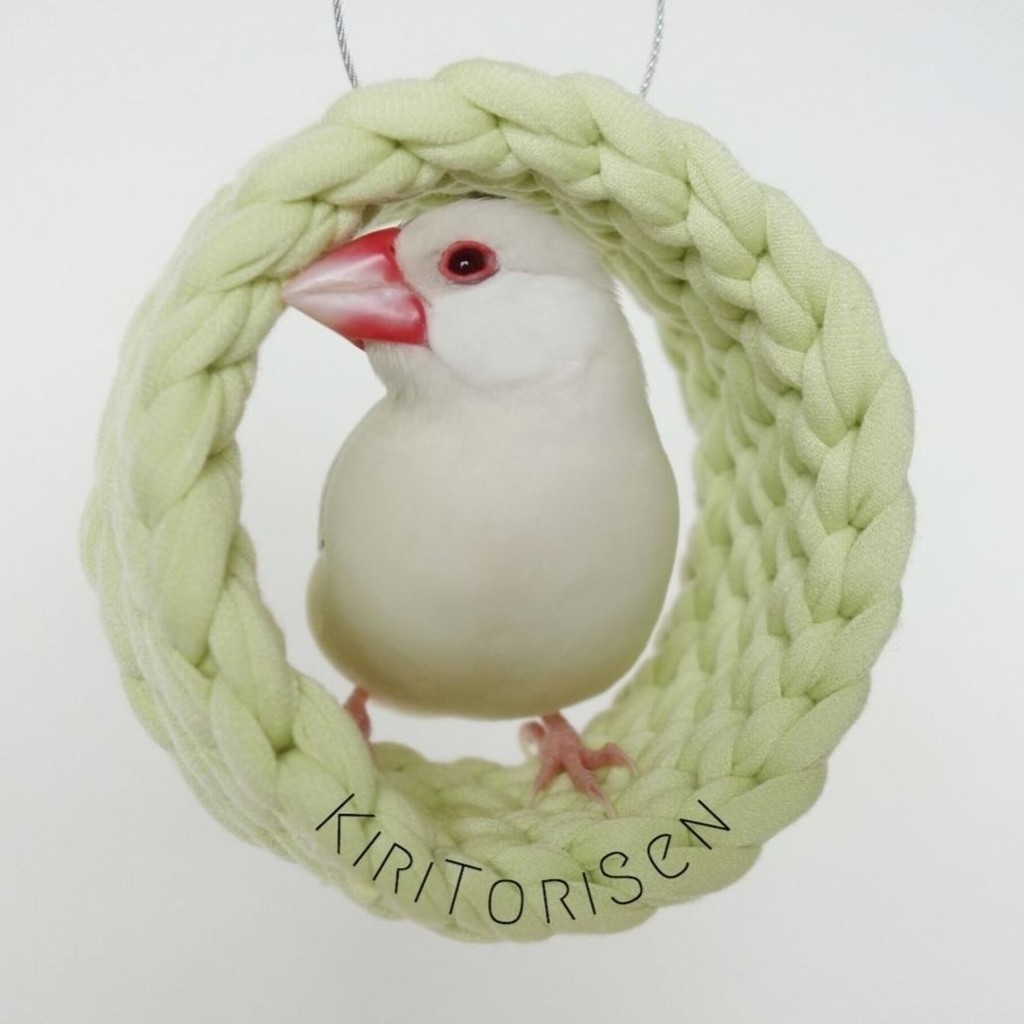 日本代購文鳥圈圈窩 小 小鳥 鳥窩 鳥籠 手作 手工製作 白文鳥 寵物鳥周邊 寵物鳥用品 日本代買 蝦皮購物