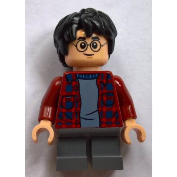 樂高 LEGO 75953 40452 哈利波特系列 紅衣 哈利波特 全新