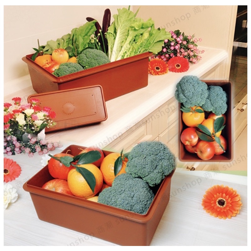 正品神奇蔬菜水果保鮮盒