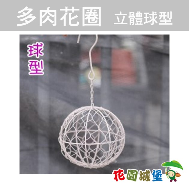 多肉花圈鐵線花環 拍賣 評價與ptt熱推商品 21年6月 飛比價格
