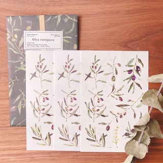 盲包 文具盲袋 盲袋 手帳文具 文具用品 文具 盲包 陽光愛麗 蝦皮購物