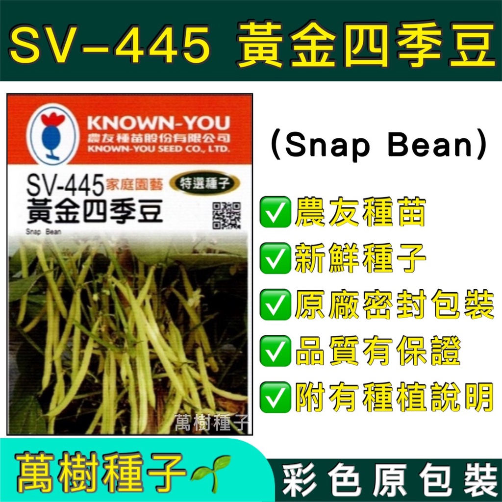 【萬樹種子】SV-445 黃金四季豆 特選蔬果種子 農友種苗 彩色密封 原廠包裝