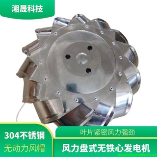 『優品💕好貨』微型風球式風力盤式無鐵心發電機 不銹鋼 垂直風力多葉啟動風速低 DIY