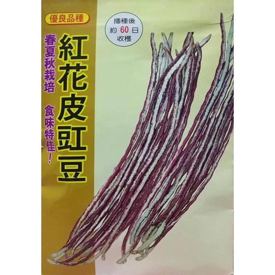 花皮長豆紅皮長豆紅花皮長豆種子100粒50元