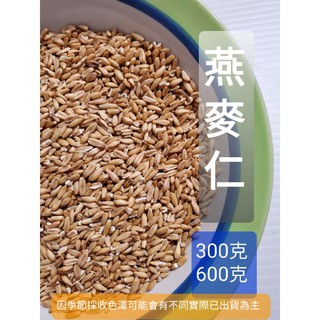 鸚鵡飼料/燕麥仁/燕麥粒/600克40元/300克22元/夾鏈袋出貨單筆最多7斤