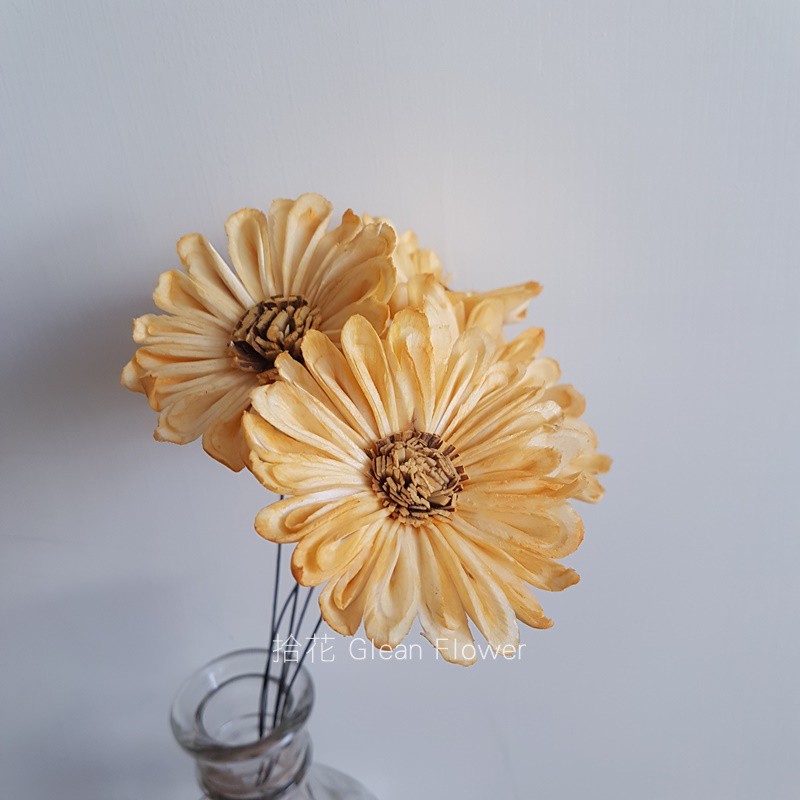 拾花 太陽花索拉花 橘黃 乾燥花素材 蝦皮購物