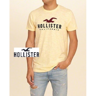 A&F副牌HCO真品Hollister APPLIQUE LOGO GRAPHIC TEE海鷗短T-黃