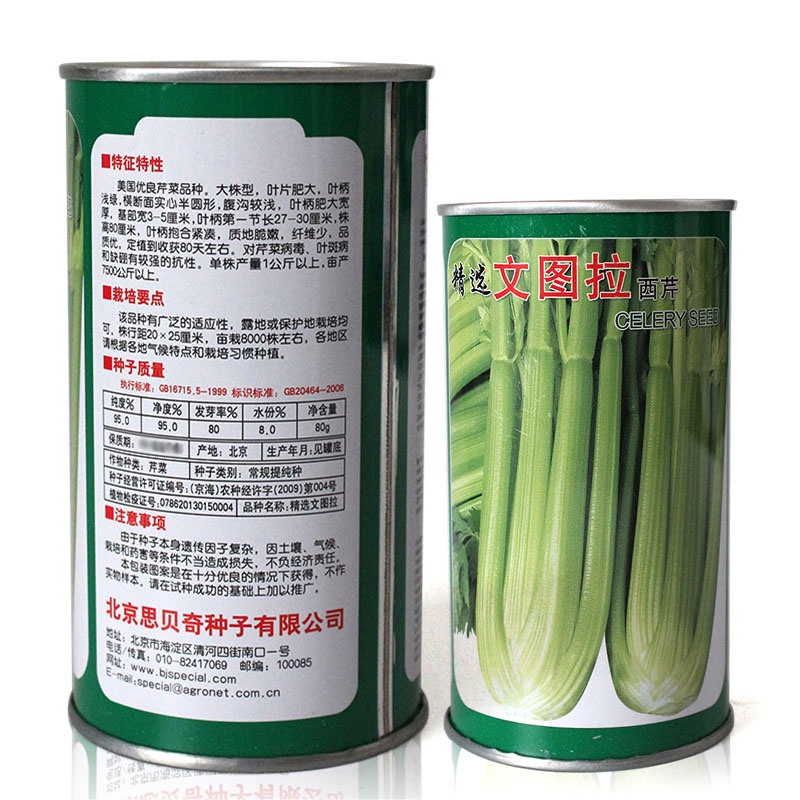 竹崎花草種業芹菜種子文圖拉西芹種子大香芹籽種春季四季盆栽芹菜苗幼苗蔬菜孑發芽率高 蝦皮購物