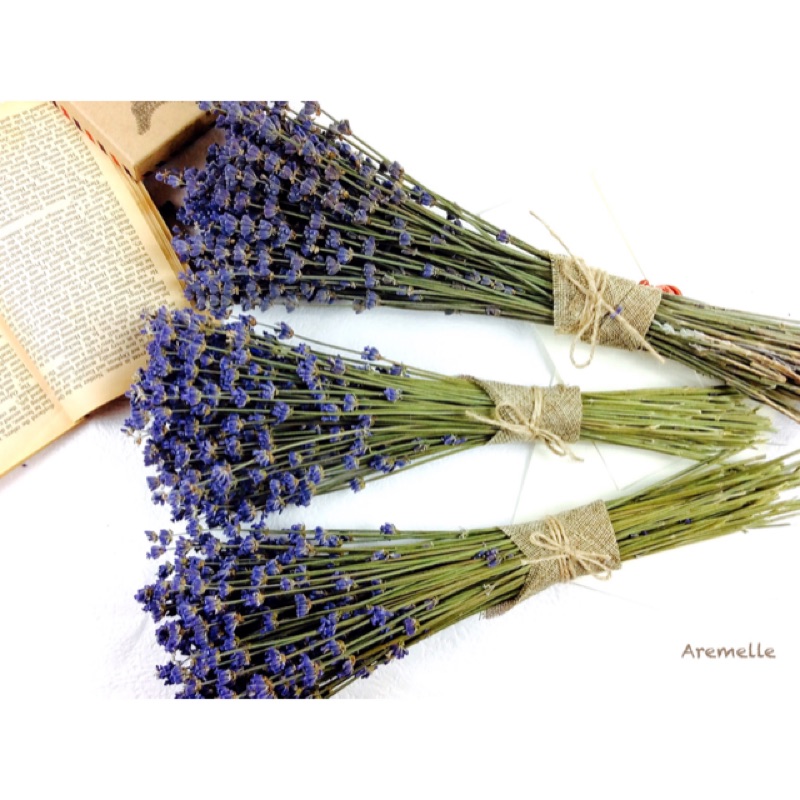《Are獨立之家》法國藍 薰衣草乾燥花束 單束 拍攝道具 禮物 裝飾藝術