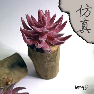 多肉 模擬多肉 微景觀 P73 假多肉植物 辦公室小物 療癒紓壓生日禮物拍照道具居家裝飾咖啡屋商店擺飾迷你木頭底座盆栽