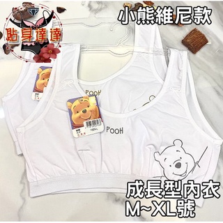 🌼貼身達達💝小熊維尼蜂蜜🍯MIT台灣製 少女成長型胸衣 棉質布料 透氣舒適M、L、XL尺碼 台灣現貨