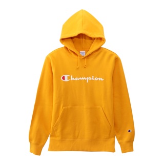 champion basic logo hoodie