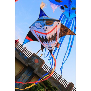 【風箏小舖】虎克鯊魚 大嘴鯊魚 鯊魚 風箏 沙魚-玻璃纖維 骨架 平紋布 造型風箏