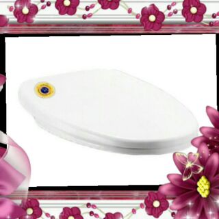 和成 HCG 原廠抗菌改新款 CF8470 CF-8470馬桶蓋 CF800 C S 802 C840 660 C800
