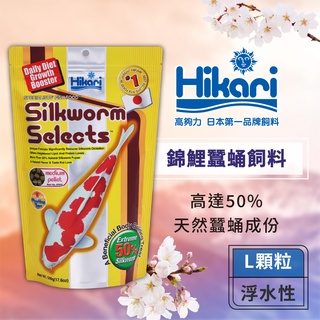 Hikari 高夠力 錦鯉蠶蛹飼料 500g 錦鯉增體 營養補充 高CP值