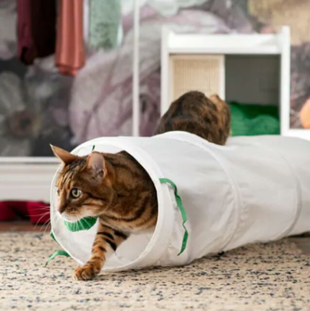 直感品揃え製作ikea 猫 Ballonfahrthamburg Org