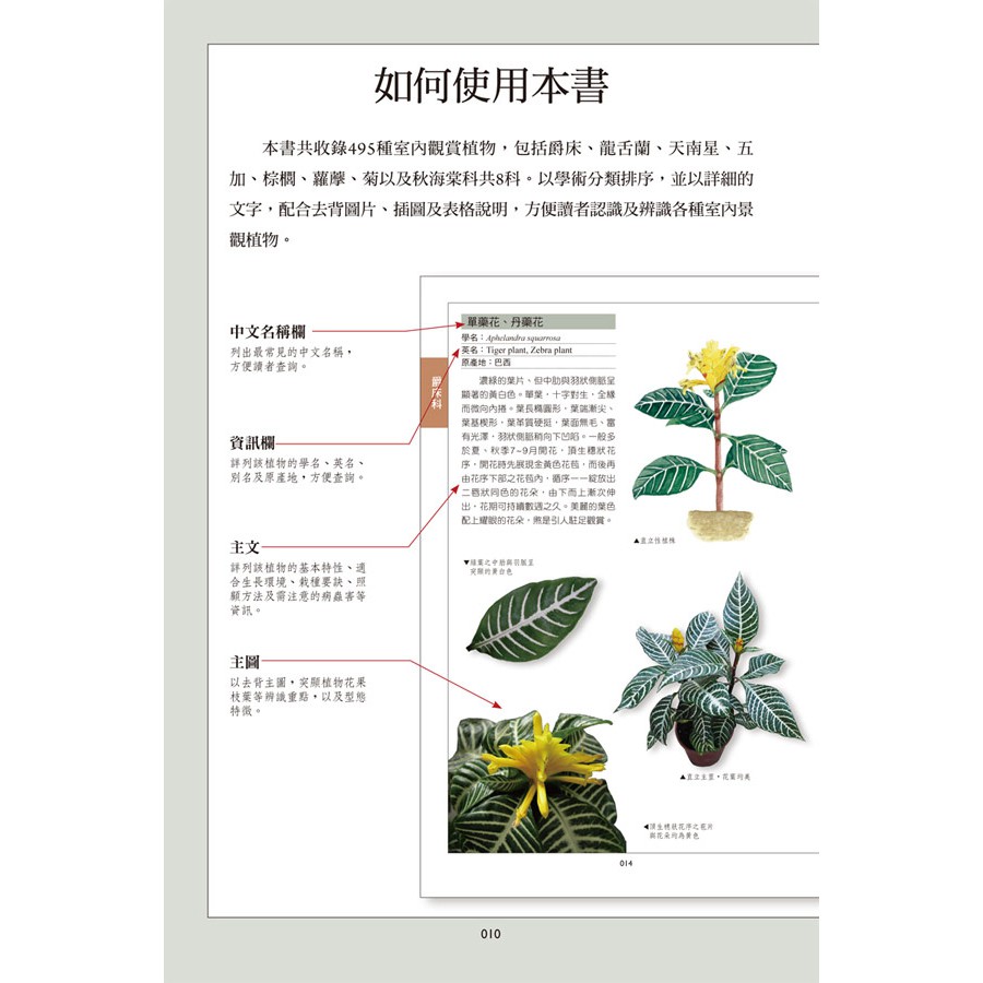 室內觀賞植物圖鑑 上 蝦皮購物