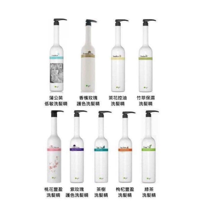 歐萊德 桃花豐盈洗髮精1000ml (Kirsty Chen)