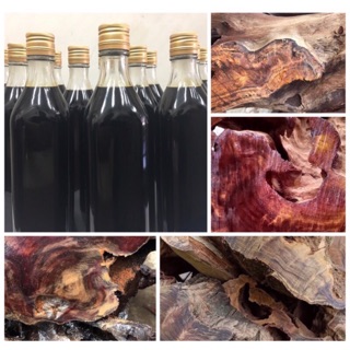 💙御品天香💙 臺灣三峽肖楠精油 100/500ml（山材頭根部提煉）肖楠精油 牛樟精油 檜木精油 扁柏 沉香 檀香