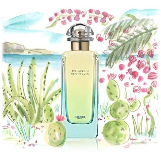hermes perfume jardin mediterranee