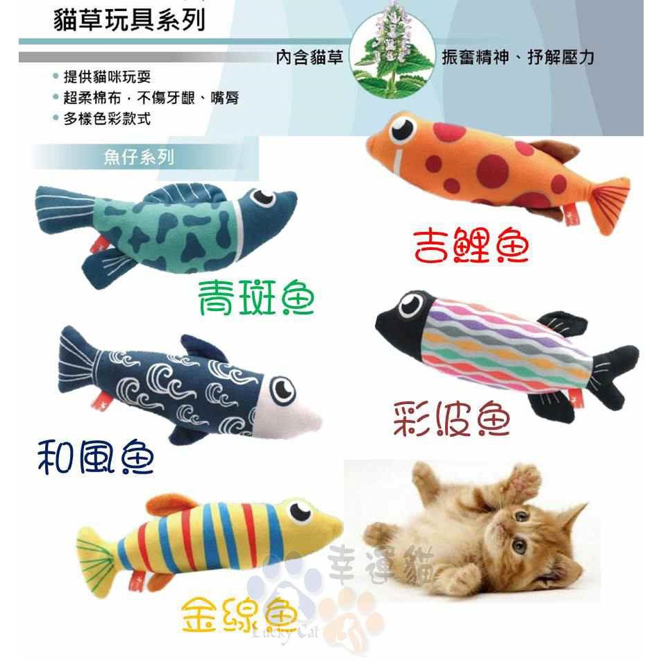 幸運貓 Amy Carol 魚仔貓草玩具系列青斑魚 吉鯉魚 和風魚 彩波魚 金線魚 蝦皮購物