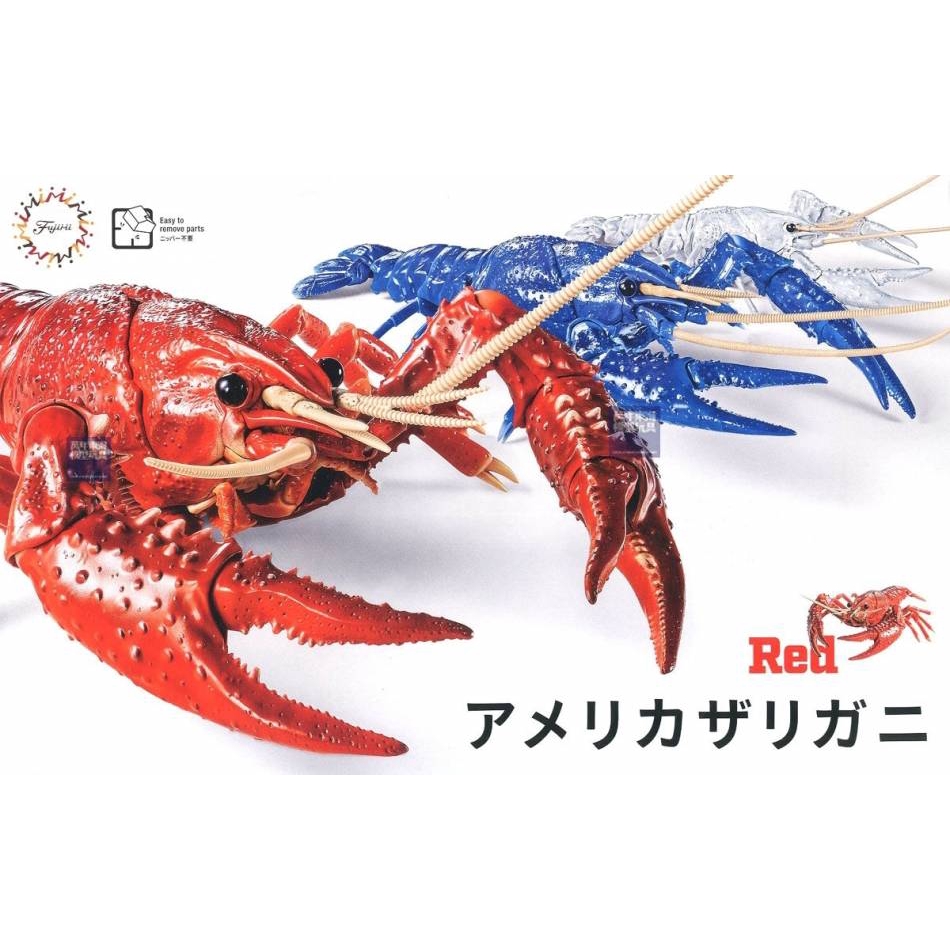 FUJIMI 美國螯蝦 紅色  自由研究24 生物編 富士美 組裝模型 萬年東海