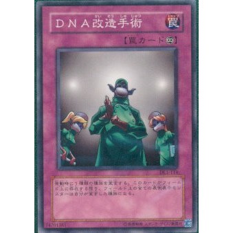 Be01 Jp073 Dl1 114 Be1 Jp081 Sk2 015 Dna改造手術 隨機 蝦蝦14拍1 蝦皮購物