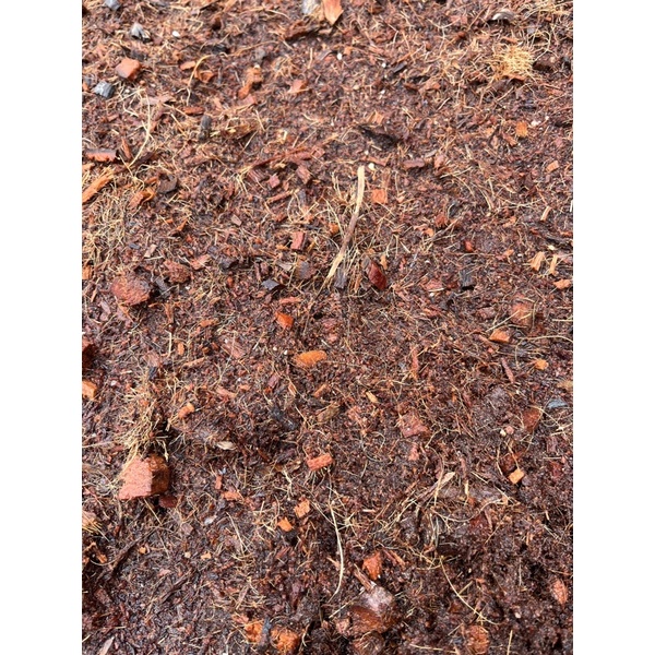 柴柴玫瑰 水洗椰纖土 一般版🔥角蛙、爬蟲🔥歐規 含椰塊、椰纖。植物根系長更好