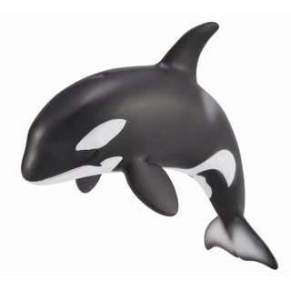 「芃芃玩具」COLLECTA 動物模型R88618 幼殺人鯨 貨號88618