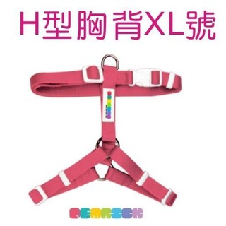 PETrick-H型胸背帶 全新的柔軟觸感 12色繽紛上市 XL尺寸