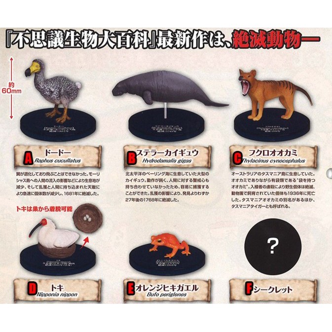 不可思議生物大百科滅絕動物模型 蝦皮購物