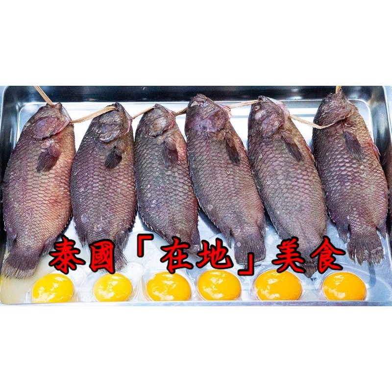 陶弟弟 泰國 在地 美食 爬樹魚攀木鱸攀木魚攀鱸2隻 組美食料理迷鰓魚不用打氣 蝦皮購物