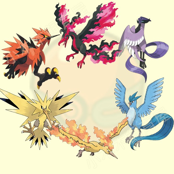 小木木飼育屋 急凍鳥火焰鳥閃電鳥伽勒爾型態關東型態客製化色違異色原色配布優惠套餐寶可夢劍盾