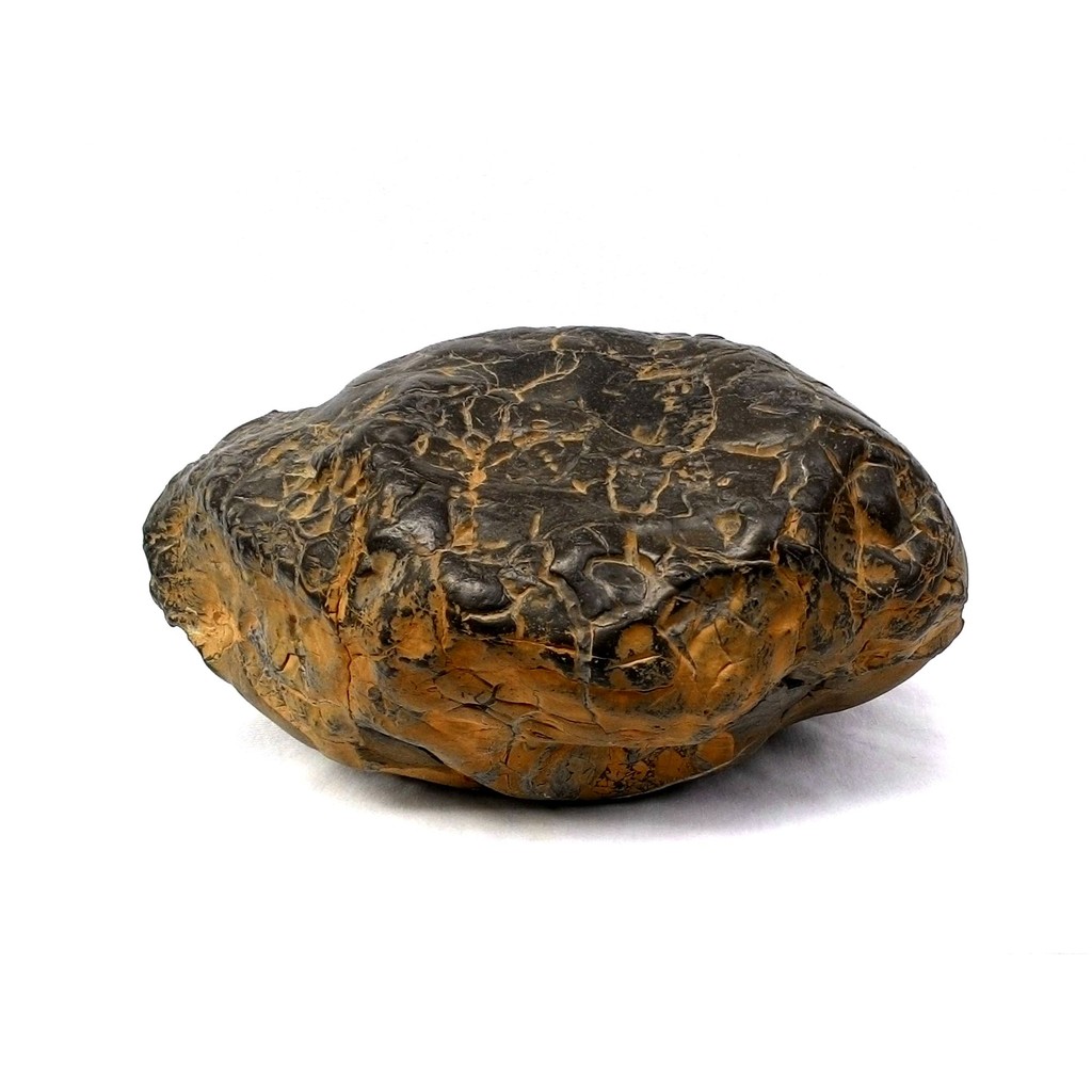三峽大豹溪水洗龜甲石-萬年龜 鬼斧神工，渾然天成之萬年龜