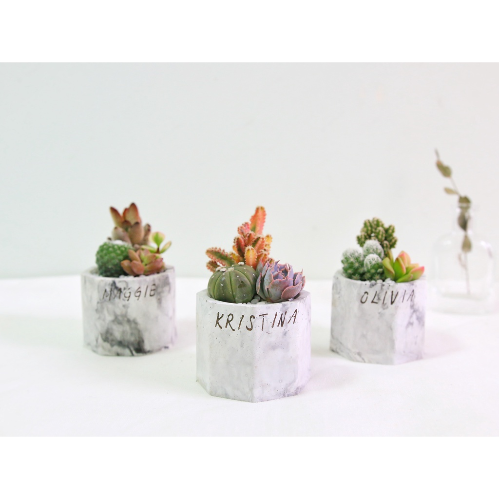 Mini八角形水泥盆栽 可客製英文名字生日禮物婚禮小物必選 蝦皮購物
