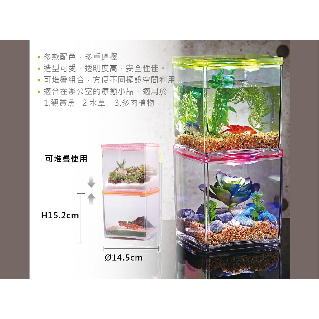 欣欣水族摩登造型缸 四角缸 高透明材質壓克力鬥魚缸多種顏色 蝦皮購物