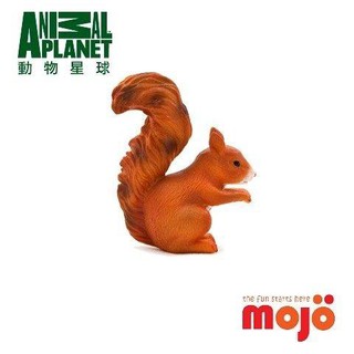 動物模型 MOJO FUN 紅松鼠