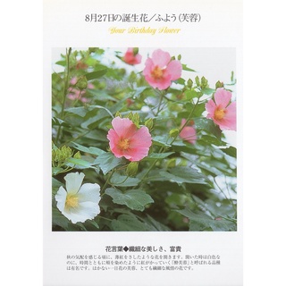 33明信片本舖 日本進口明信片8月生日花誕生花明信片 單張入 蝦皮購物