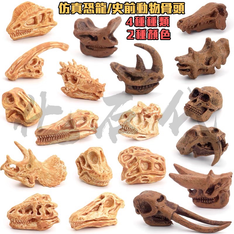 頭骨模型- 優惠推薦- 2022年5月| 蝦皮購物台灣
