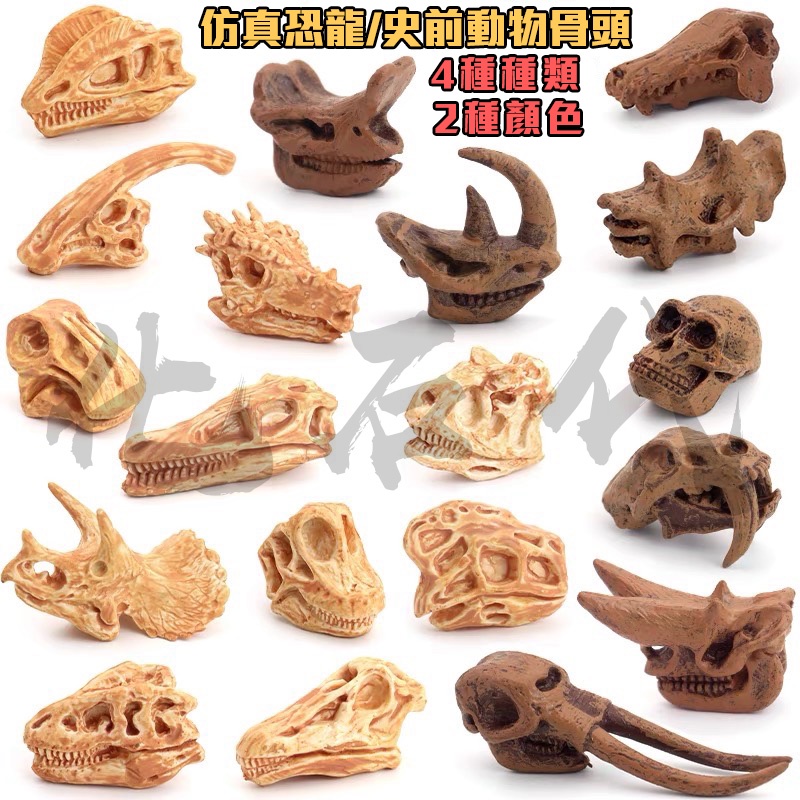 頭骨模型- 優惠推薦- 2022年5月| 蝦皮購物台灣 頭骨模型- 優惠推薦- 2022年5月| 蝦皮購物台灣