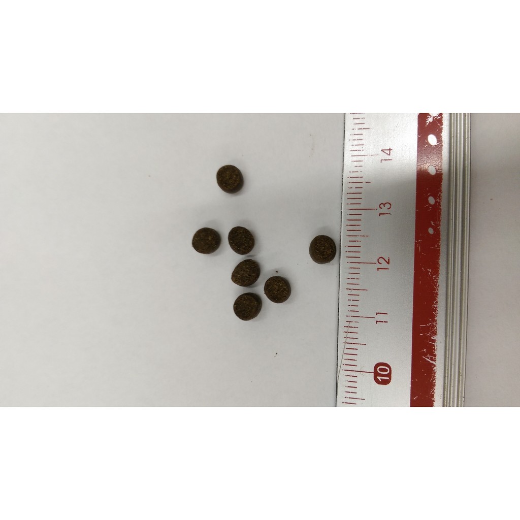 石斑沉底飼料 -3號(顆粒約6mm)