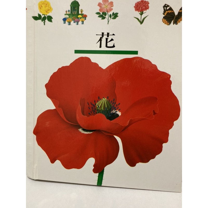 《二手童書出清》理科第一個發現：花