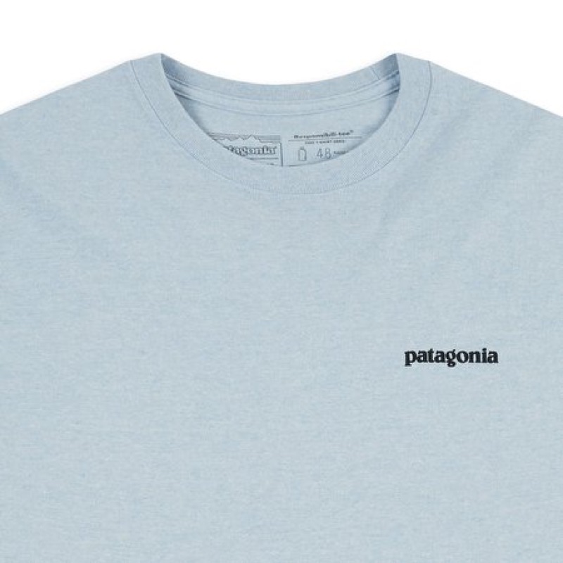 patagonia fitz roy tarpon