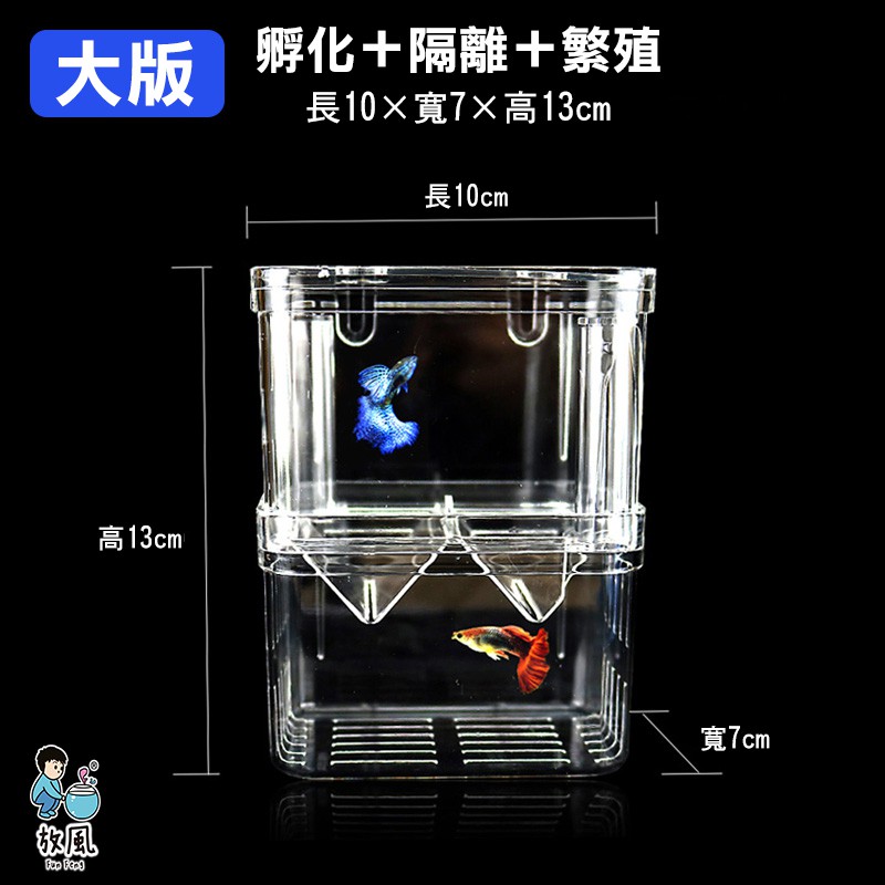 台灣免運現貨 隔離繁殖孵化盒 繁殖箱 自浮式隔離盒 產子盒 孵化箱 隔離箱 孔雀魚 仔魚 幼魚 自浮式 鬥魚盒 產卵盒